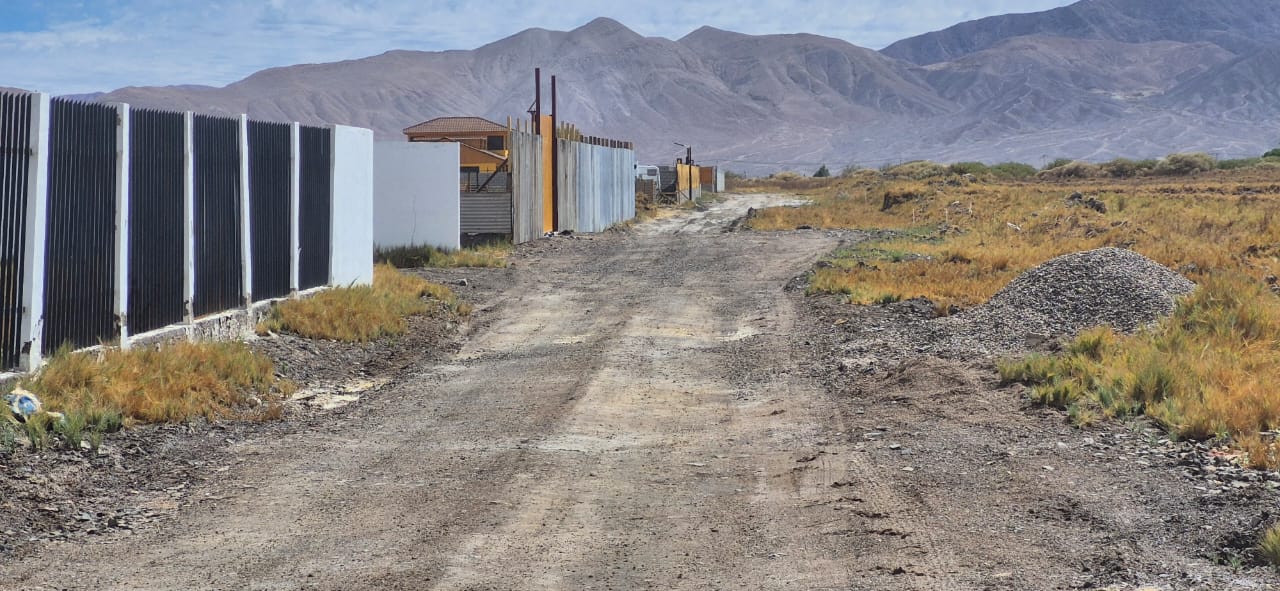 WhatsApp Image 2025-08-17 at 12.19.08 PM_69ee4b2c51696.jpeg